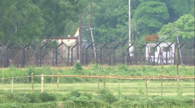 পোরশা সীমান্ত থেকে বাংলাদেশি যুবককে ধরে নিয়ে গেল বিএসএফ